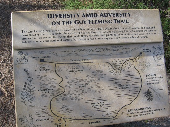 Diversity amid adversity on the Guy Fleming Trail.