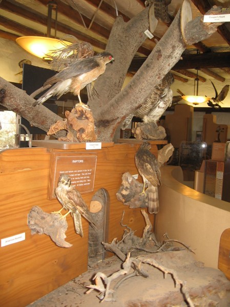 One of many exhibits in the visitor center.