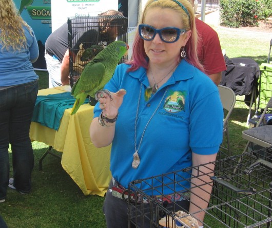 SoCal Parrot lady and a bright green friend.