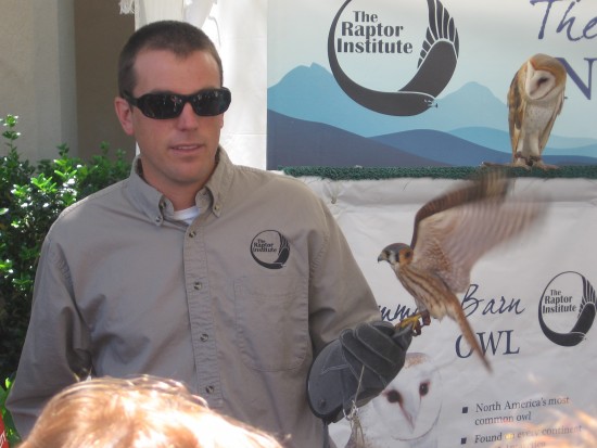 Two rescued raptors shown to crowd on El Prado.