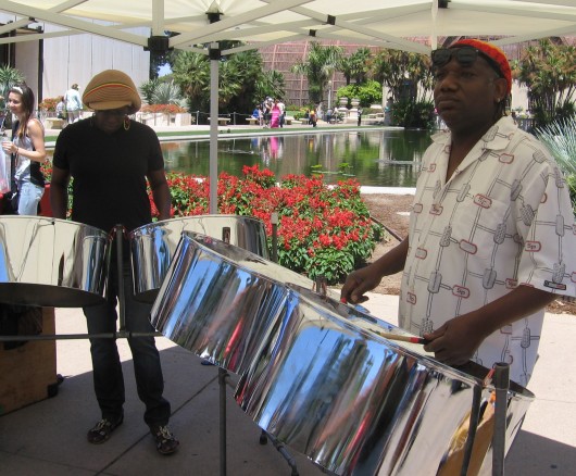 Mellow steel drum entertainment during EarthFair.