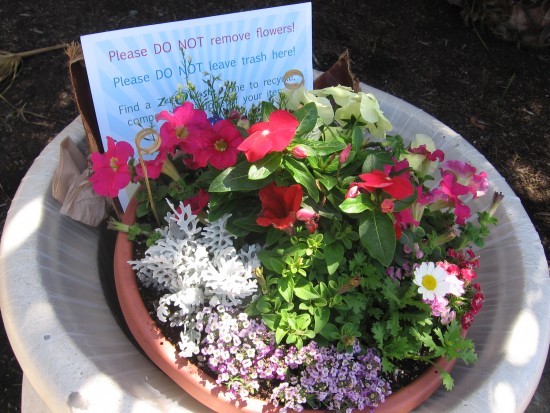 Balboa Park's trashcans were blocked with flower pots.