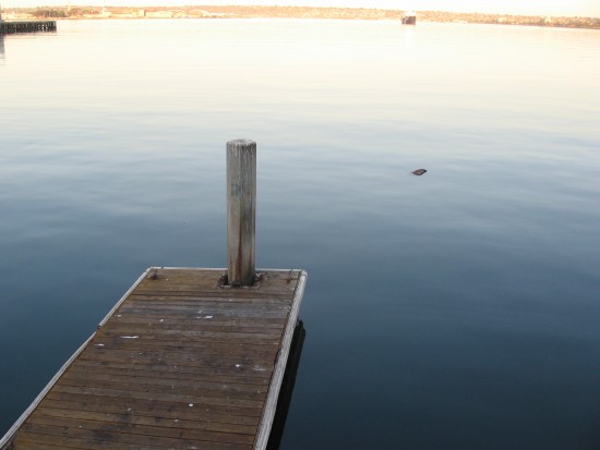 Anthony Fishette's boat dock on a tranquil San Diego Bay.