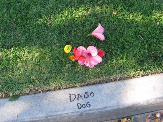 Flowers remember somebody's best buddy.