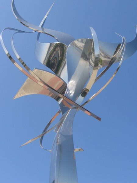 Tangled arcs of light in the San Diego sky.