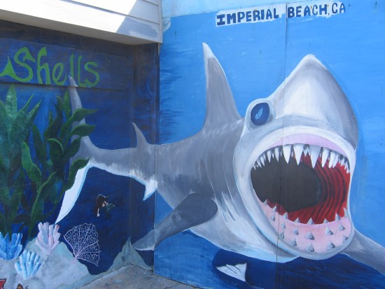 Shark spotted on wall of Imperial Beach building!