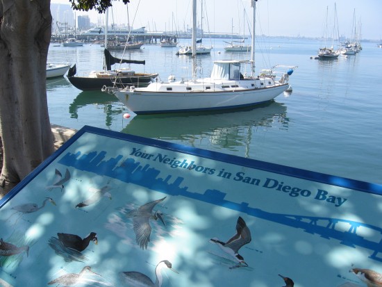 Wildlife sign and boats on the North Embarcadero.