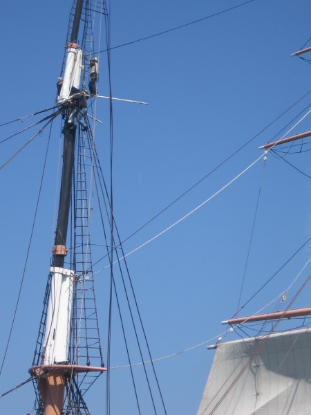 High up in the blue San Diego sky.