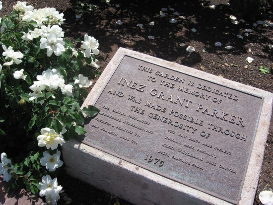 Dedicated to the memory of Inez Grant Parker.