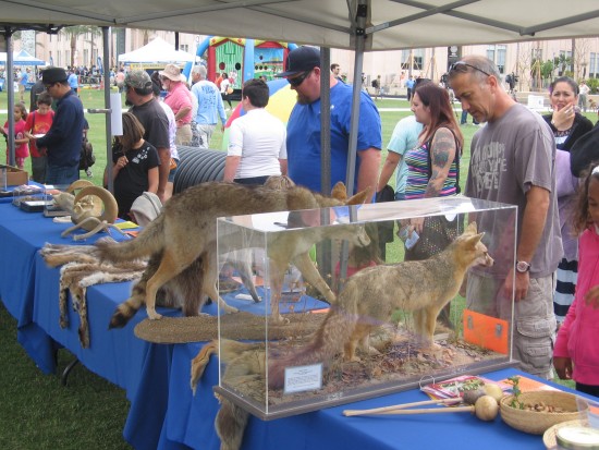 Parks and Recreation had wildlife displays!