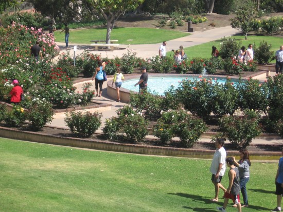 View of Balboa Park rose garden from nearby bridge.