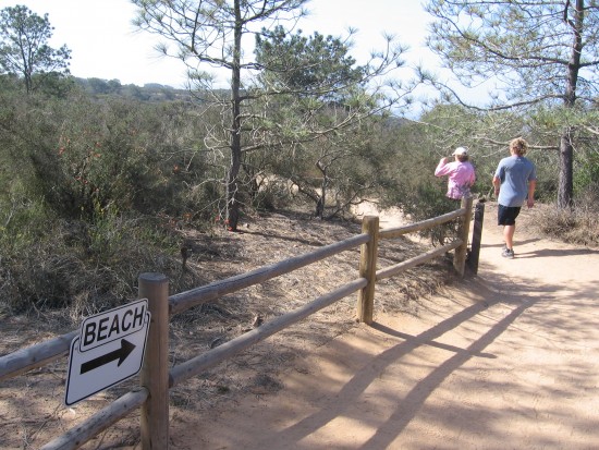 Hiking to the beach from trailhead in Torrey Pines State Reserve.