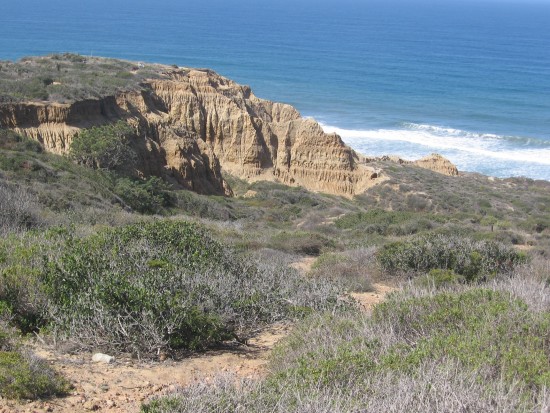 Typical scenery along trails of Torrey Pines State Reserve.