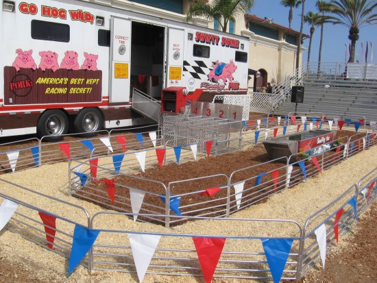 I missed the Swifty Swine pig racing event!