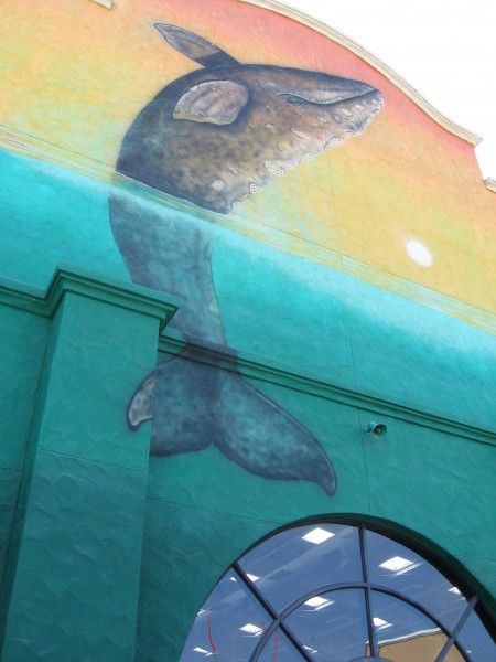 Wall of the Wyland Center has a cool whale mural.