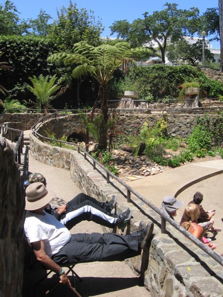 Folks enjoy a musical performance in Balboa Park.