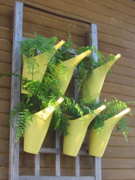 Someone has to water all these watering cans.