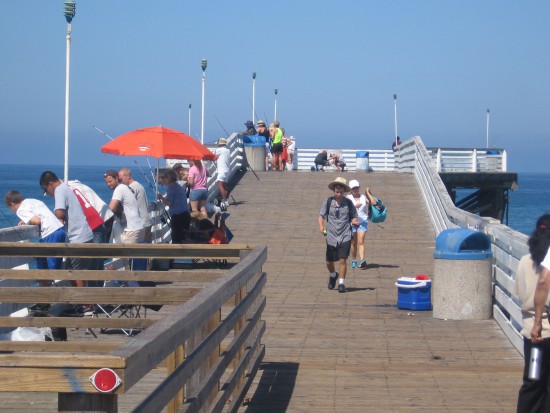 Looking along the short pier past fishermen and visitors.