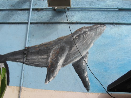 This part of one mural contains a gray whale.