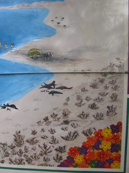 Seals, flowers and a cart on the beach.