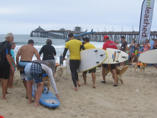 The horn blows and the first fifteen minute heat begins!