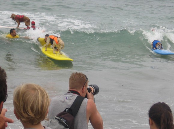 Hot dogging it and hanging twenty!