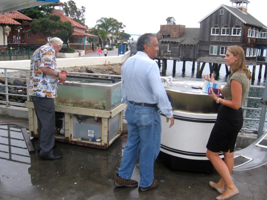 County Supervisor Greg Cox checks out a tank full of crabs.