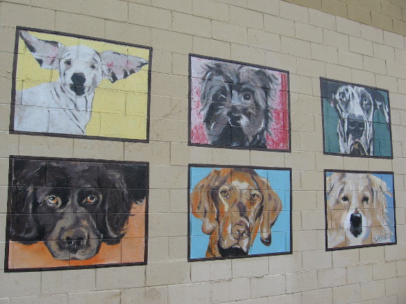 Six colorful dog murals on F Street in downtown's East Village.