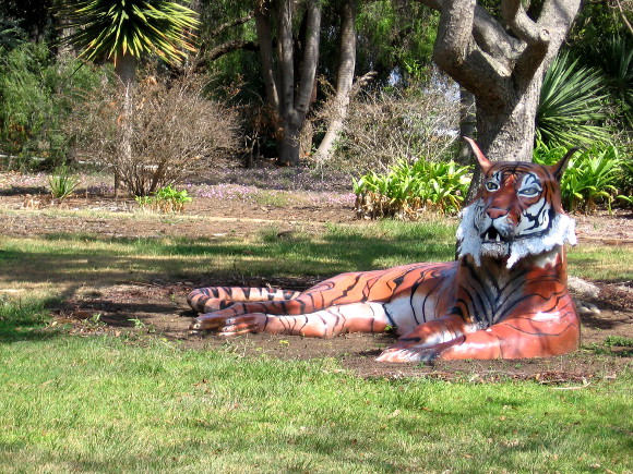 Yikes! Now it's a tiger that I see! There are wild animals all over the place.