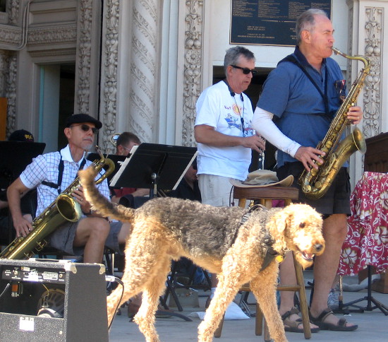 Jazzy group rehearses Night and Day, Sweet Georgia Brown, and more!