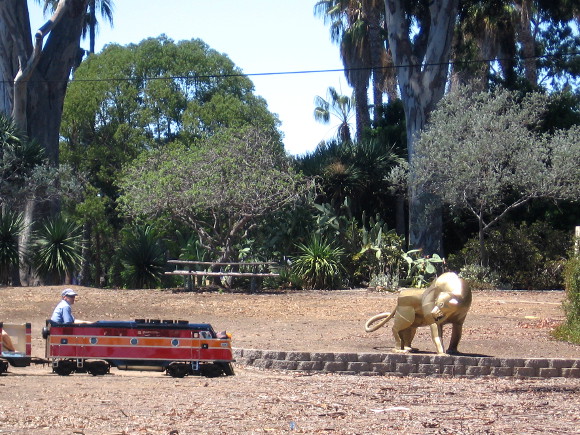 A silent lion watches as the tiny train glides through Balboa Park.