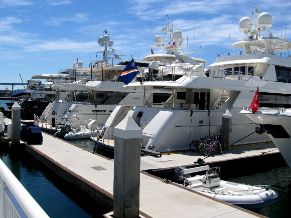 A row of private yachts docked in downtown San Diego.