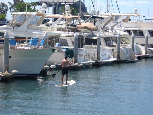 Man on paddleboard enjoys calm water in the marina.