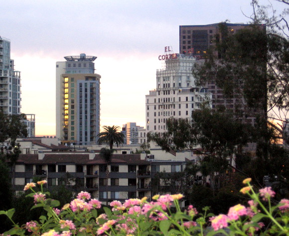 A morning look from Balboa Park toward my Cortez Hill neighborhood.