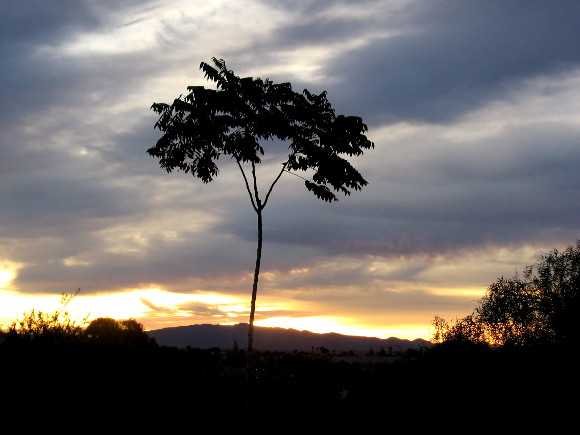Brilliant sunrise illuminates the horizon east of San Diego.