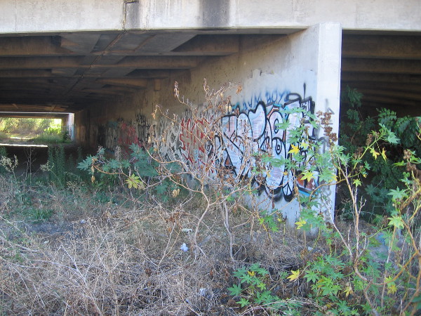 Weeds and graffiti beneath the concrete.