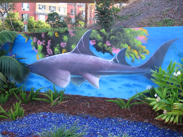A shark has been spotted next to a gas station's parking lot!