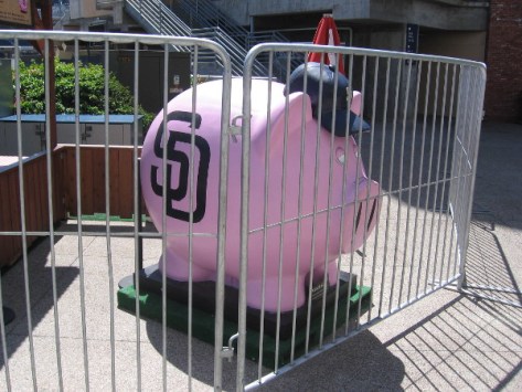 Giant pig with Padres logo and baseball cap seems trapped behind bars at Petco Park!