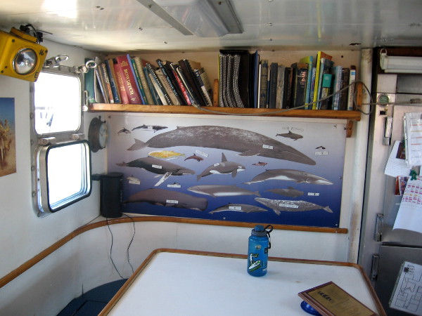 A small library and a chart depicting different marine life.