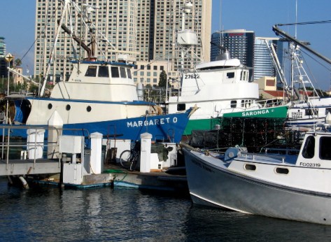 A number of fishing vessels docked inside San Diego's Tuna Harbor.