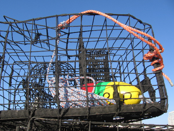 A lobster trap, rope and float framed by the clear blue sky.