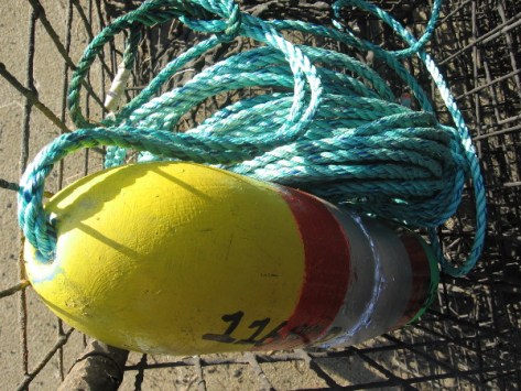 Another view, from above.