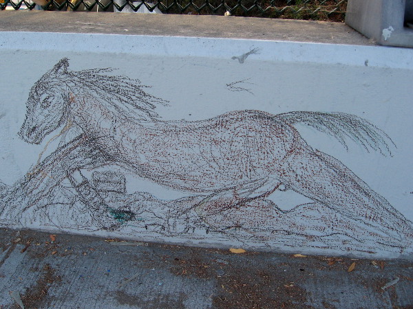A miniature horse runs along a sidewalk in downtown San Diego.