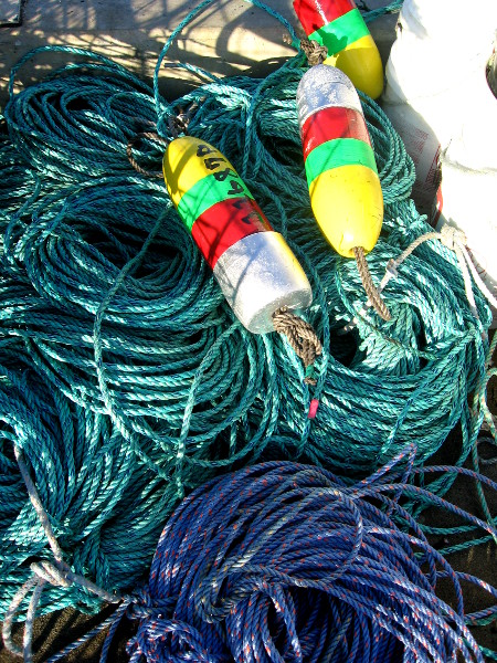 Late afternoon sunlight brings out super bright colors.