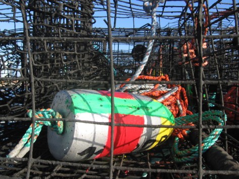 I could post a hundred photos like this!