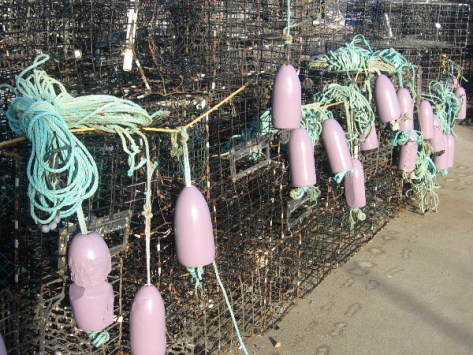 Here are some light purple floats dangling in a line.