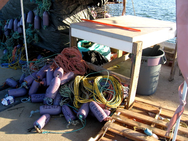 Just a delightful mess of stuff touched by slanting light beside the bay.