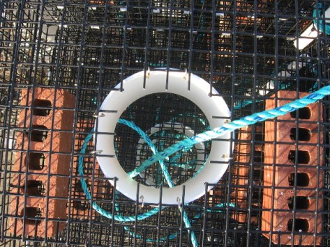 Bricks weigh down traps so they lie at the water's bottom.