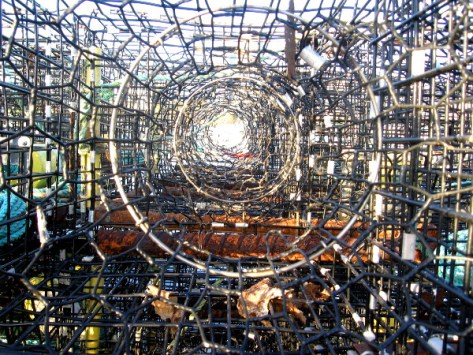 Cool pic through a long, complex row of lobster traps.