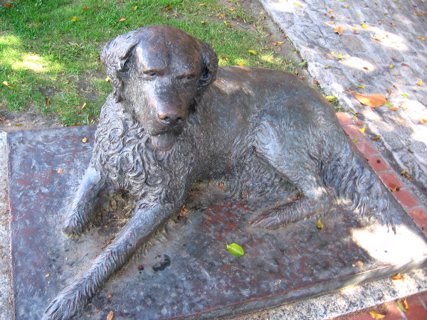 Sculpture of Bum, San Diego's town dog, in a grassy Gaslamp pocket park.